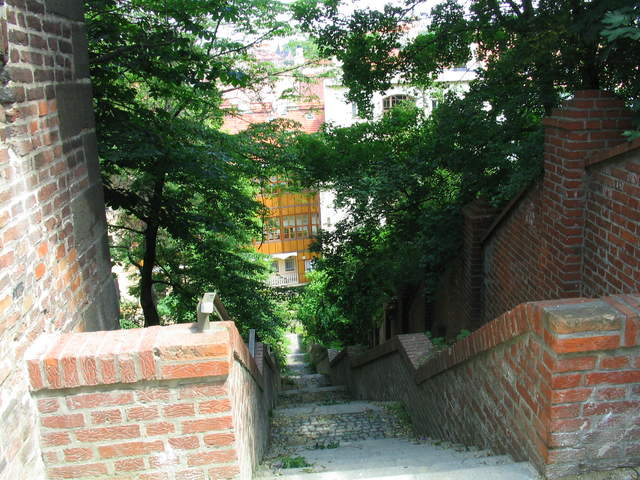 IMG_1039.jpg