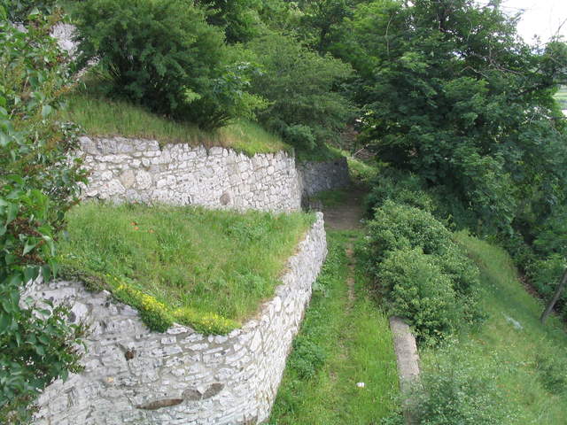 IMG_1045.jpg