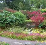 Armadale Castle gardens