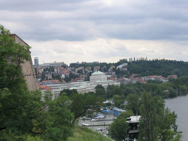 IMG_1049.jpg
