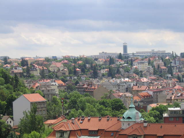IMG_1053.jpg