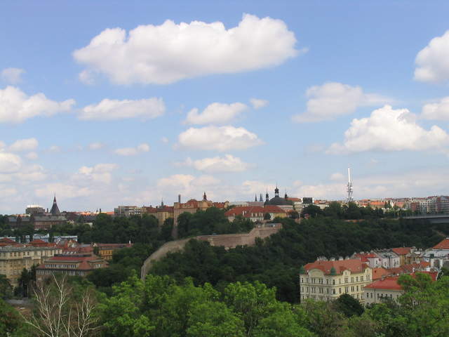 IMG_1055.jpg