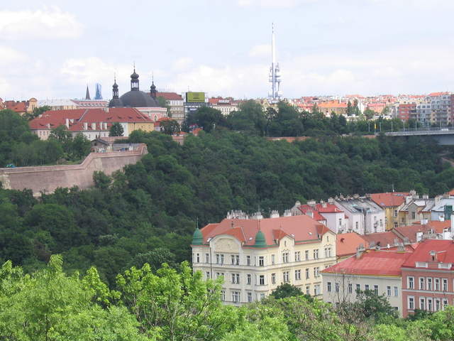 IMG_1056.jpg