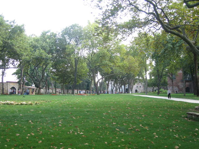 IMG_0726.JPG
