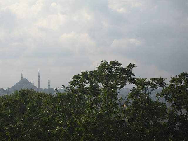IMG_0739.JPG