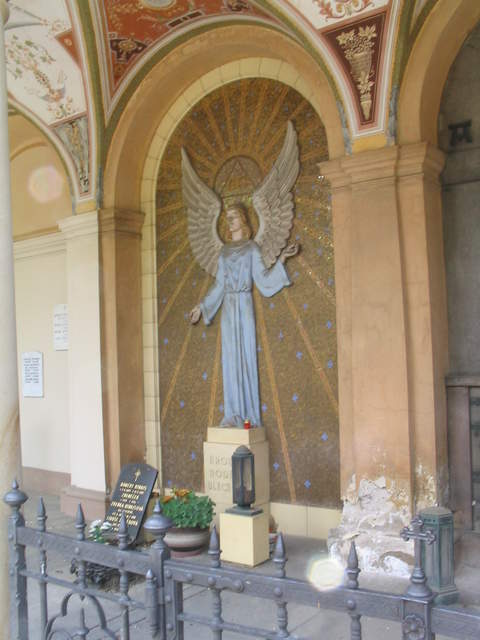 IMG_1065.jpg