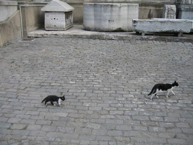 IMG_0725.JPG