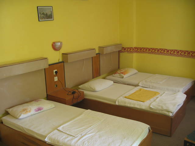 Room at the Melrose Tree House Hostel