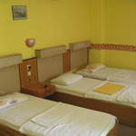 Room at the Melrose Tree House Hostel