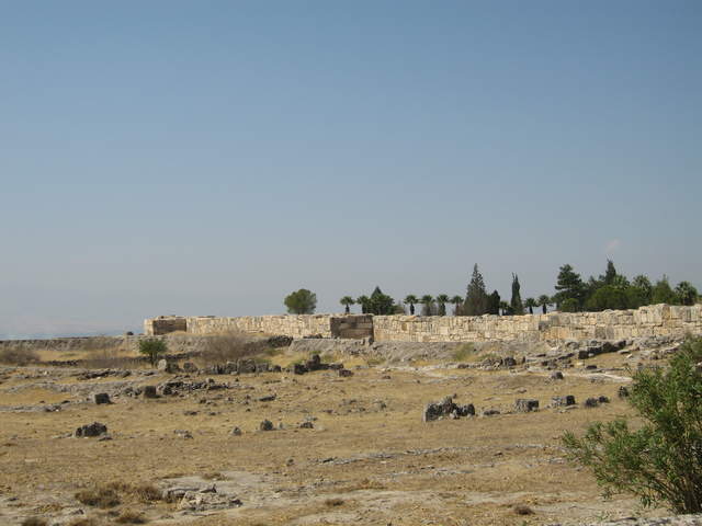 IMG_0765.JPG