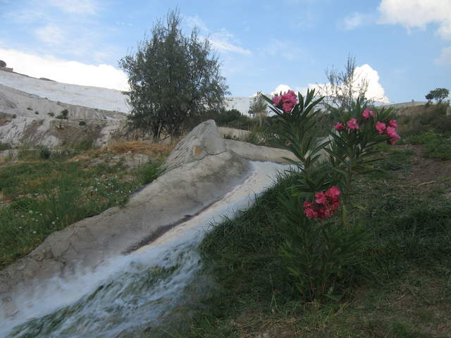 IMG_0846.JPG