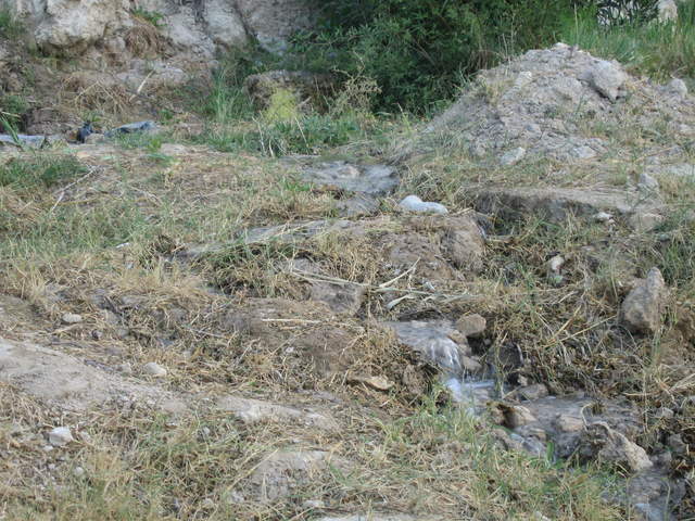 IMG_0848.JPG
