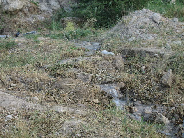 IMG_0849.JPG