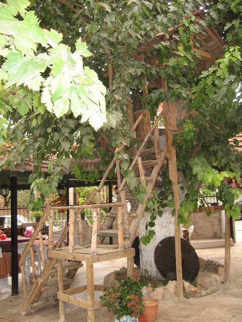 Tree house at Melrose Tree Houses