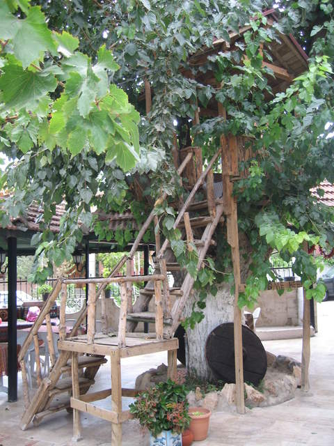 Tree house at Melrose Tree Houses