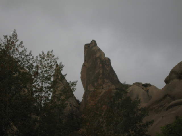 IMG_0864.JPG