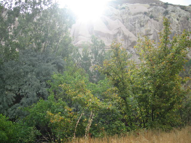 IMG_0871.JPG