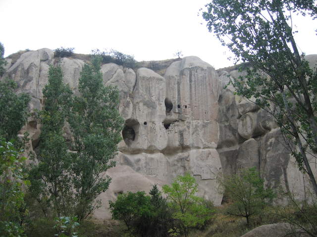 IMG_0874.JPG