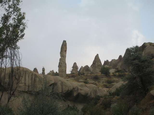 IMG_0875.JPG