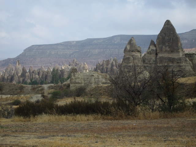 IMG_0877.JPG