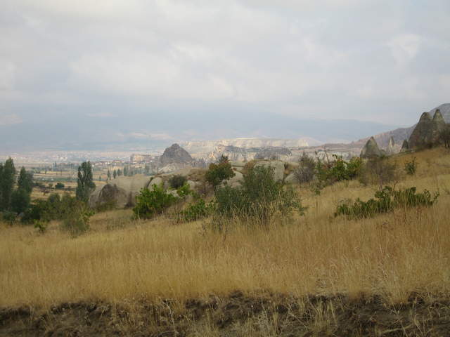IMG_0878.JPG