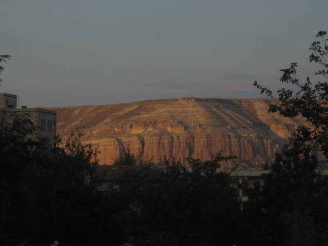 IMG_1003.JPG
