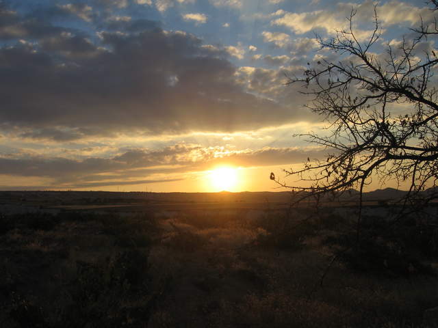 IMG_1008.JPG