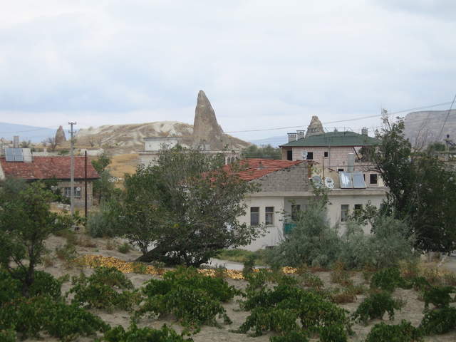 IMG_0907.JPG