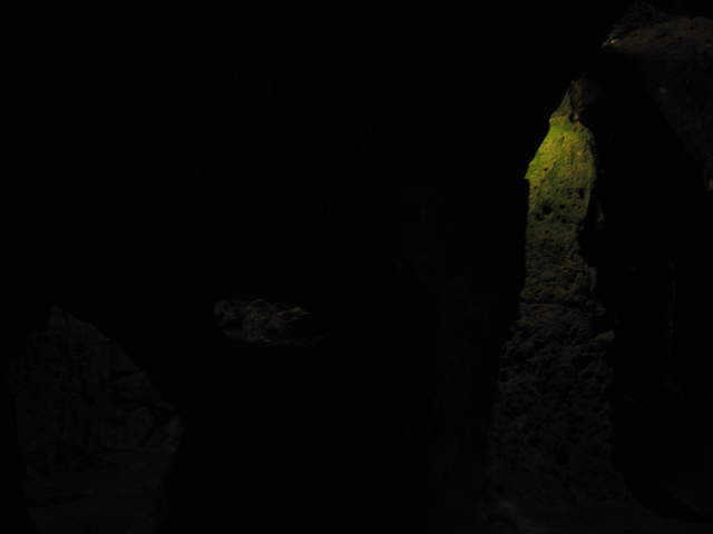 IMG_0927.JPG