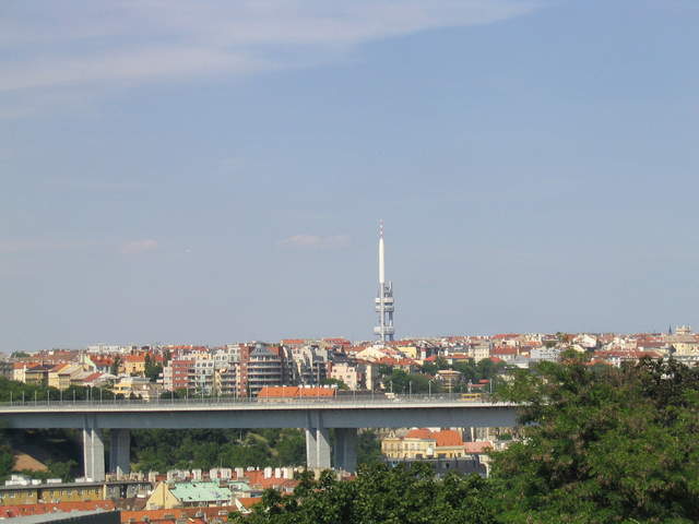 IMG_1336.jpg