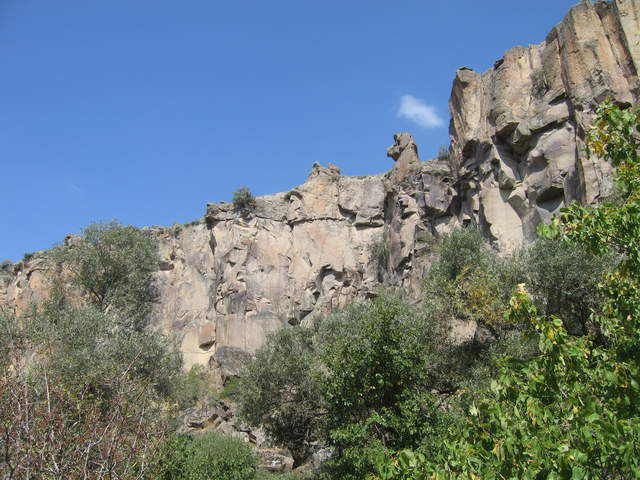 IMG_0943.JPG