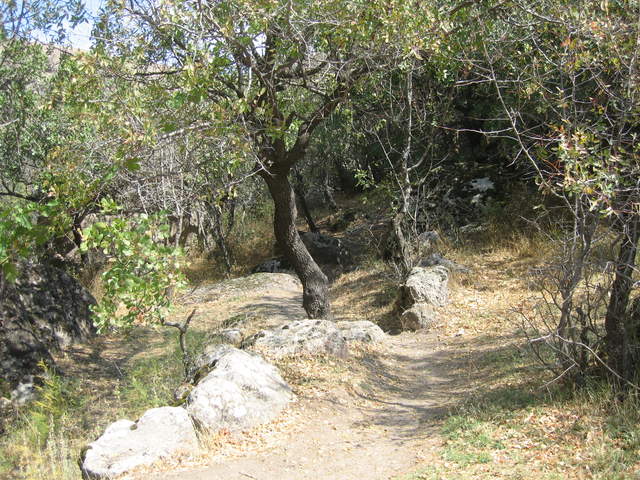 IMG_0944.JPG