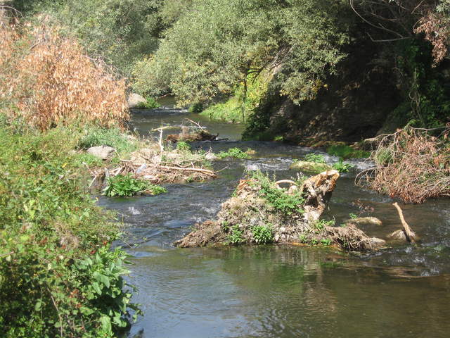 IMG_0948.JPG