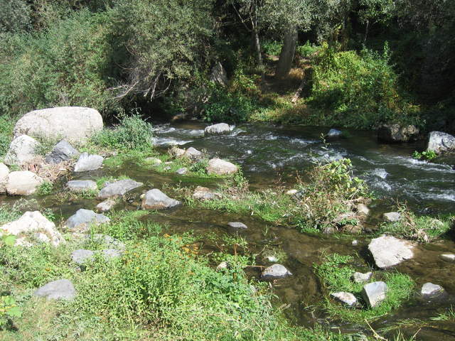 IMG_0951.JPG