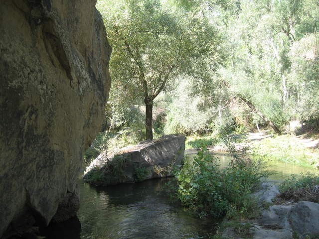 IMG_0952.JPG