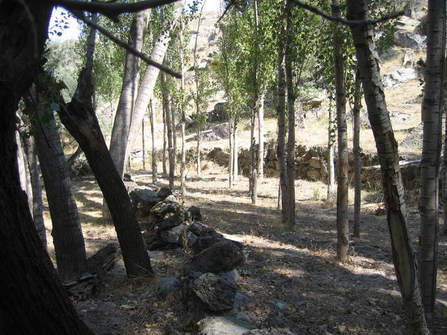 IMG_0953.JPG
