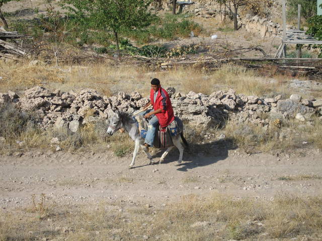 IMG_0971.JPG