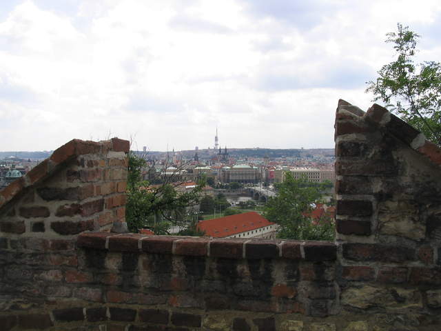 IMG_1156.jpg