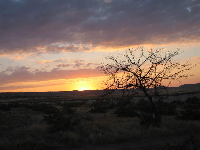 IMG_1033.JPG