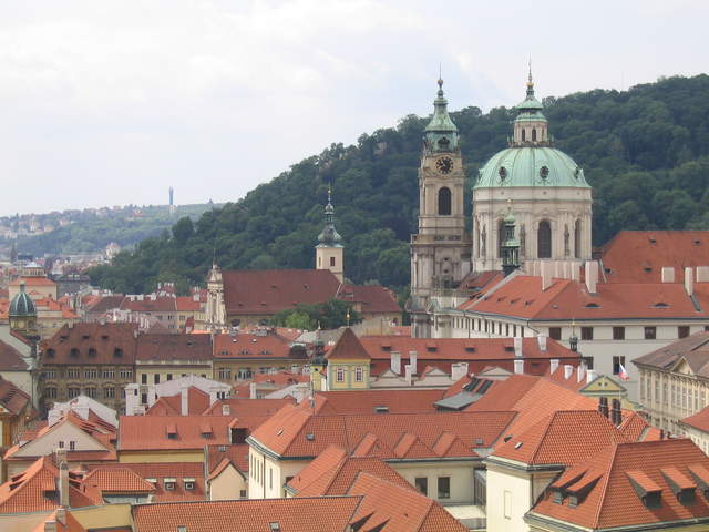 IMG_1161.jpg