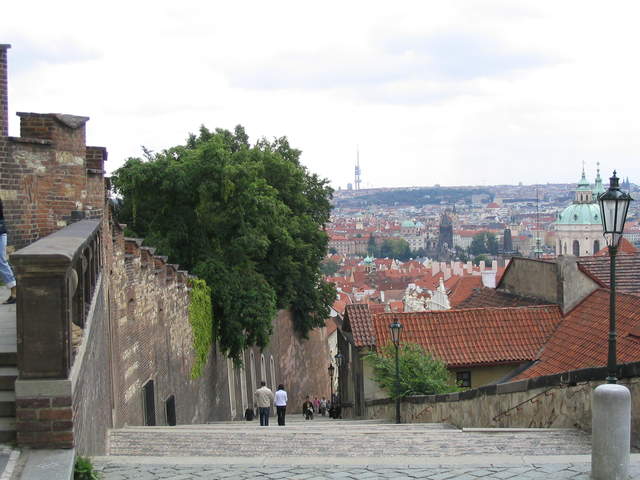 IMG_1164.jpg