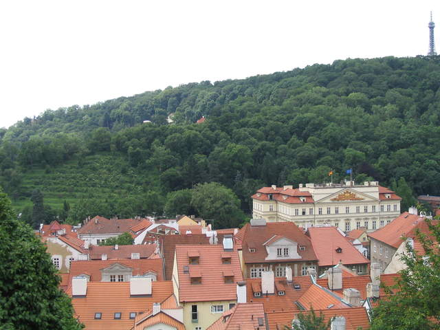 IMG_1166.jpg