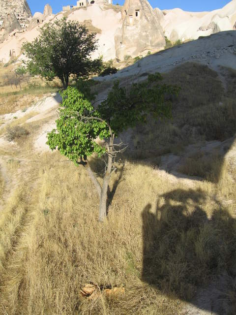 IMG_1111.JPG