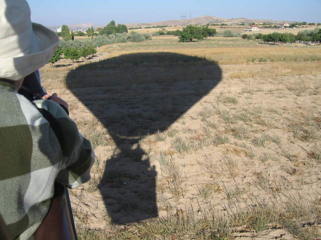 The shadow below