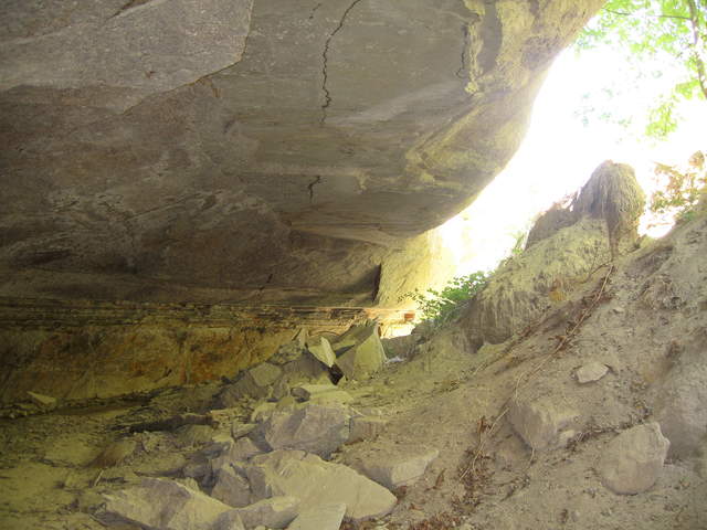 IMG_1146.JPG