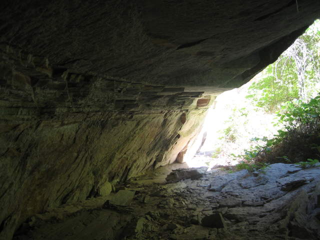 IMG_1147.JPG