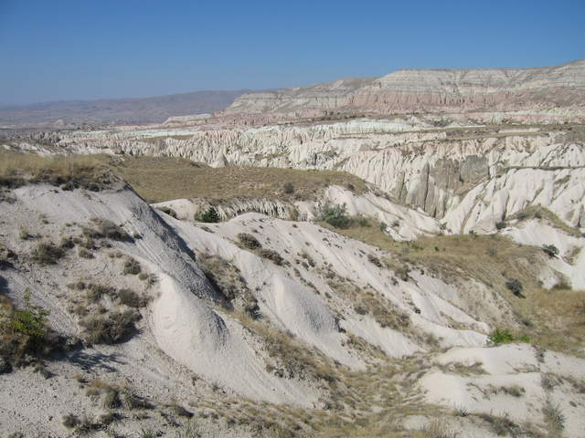 IMG_1153.JPG