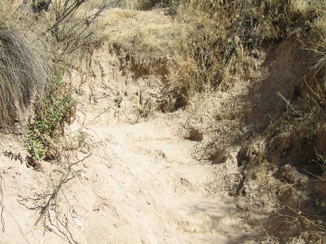 IMG_1164.JPG