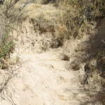 IMG_1164.JPG