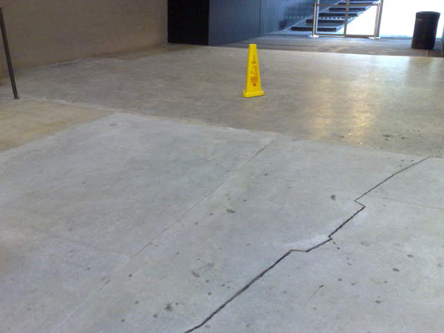 Doris Salcedo, Shibboleth
